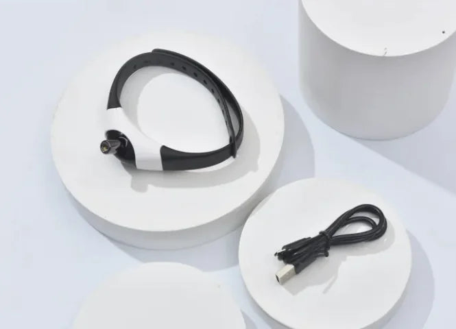 Interactive Laser Collar for Cats
