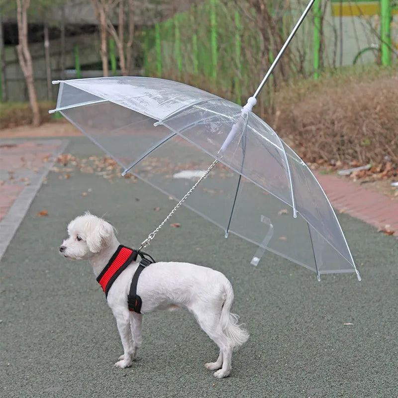Creative Leash Puppy Umbrella With Dog Leash