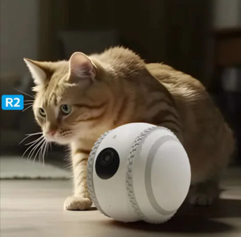 PetPal Interactive Robot – Your Cat's Ultimate Companion and Monitor