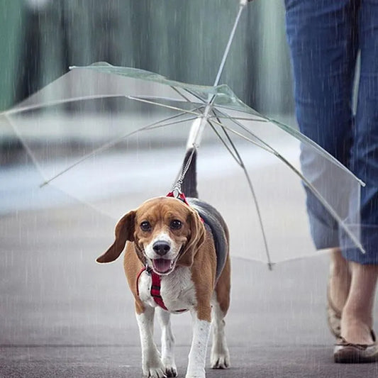 Creative Leash Puppy Umbrella With Dog Leash