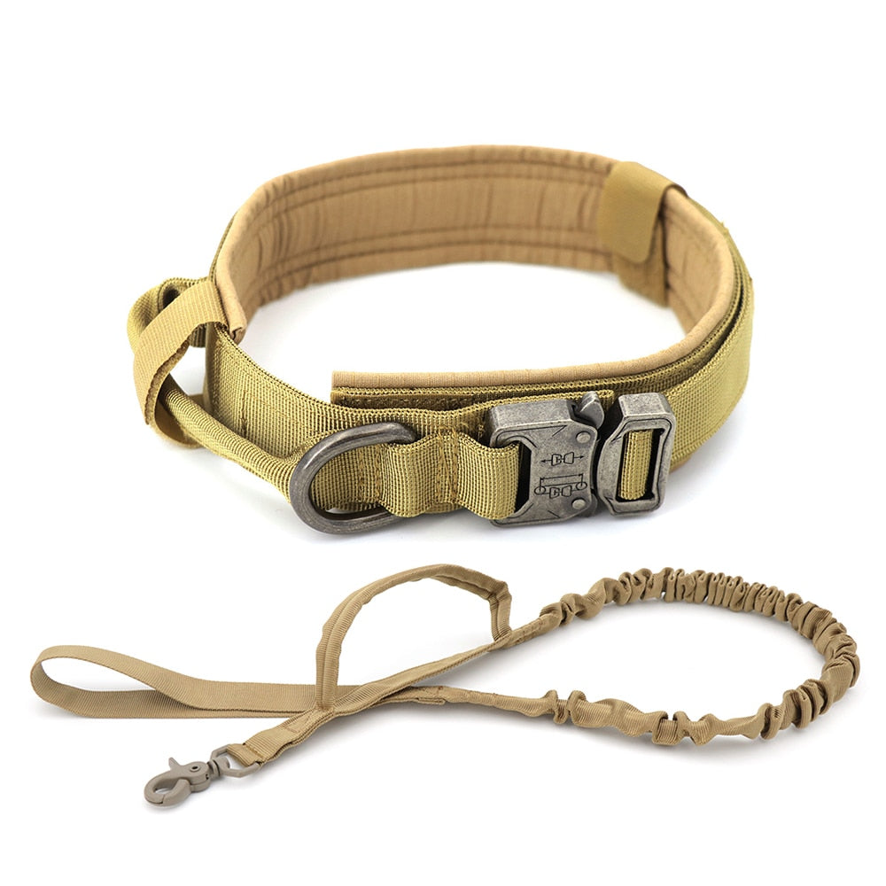Tactical Dog Collar with D ring and handle