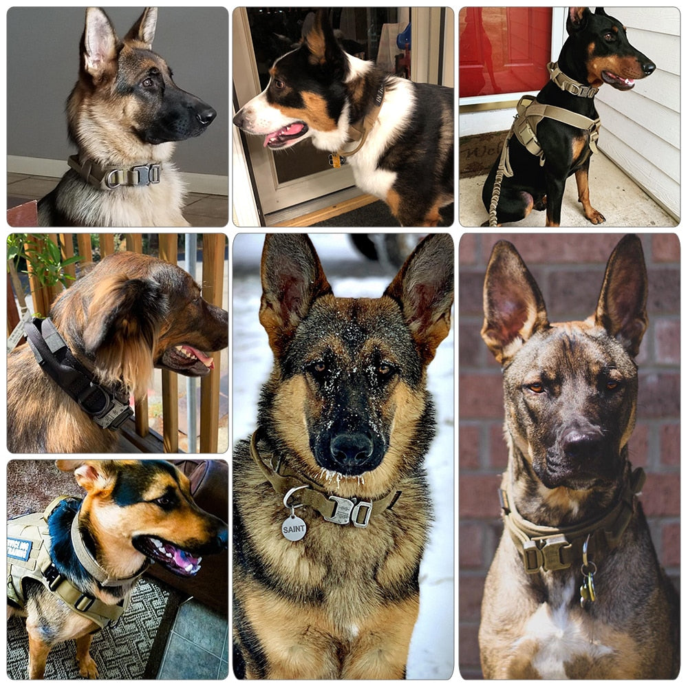 Tactical Dog Collar with D ring and handle