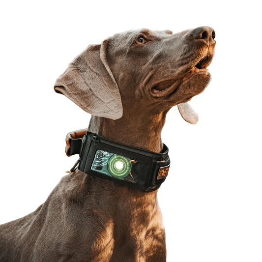 OneTigris Dog Collar Tactical Dog Collar Heavy Duty Training Dog Collar Adjustable GPS Dog Collar for AirTag with a Pouch and Control Handle for Medium Large Dogs(M)