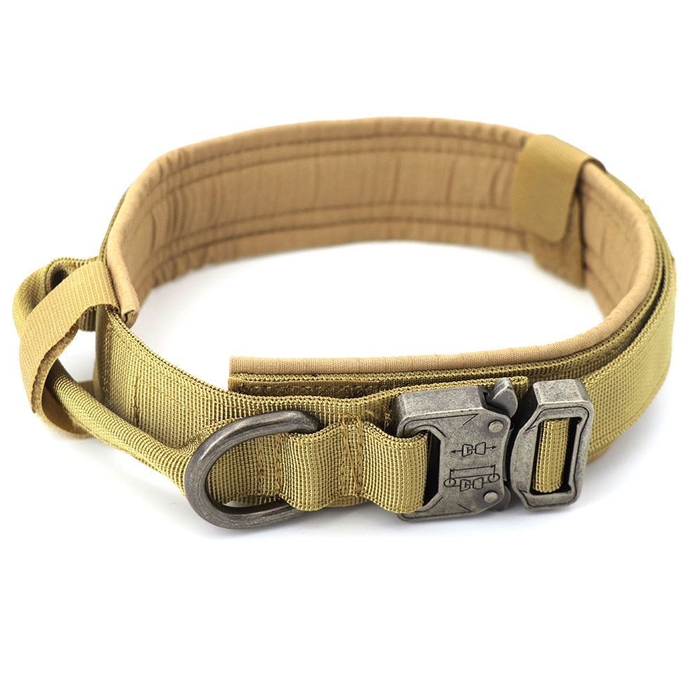 Tactical Dog Collar with D ring and handle