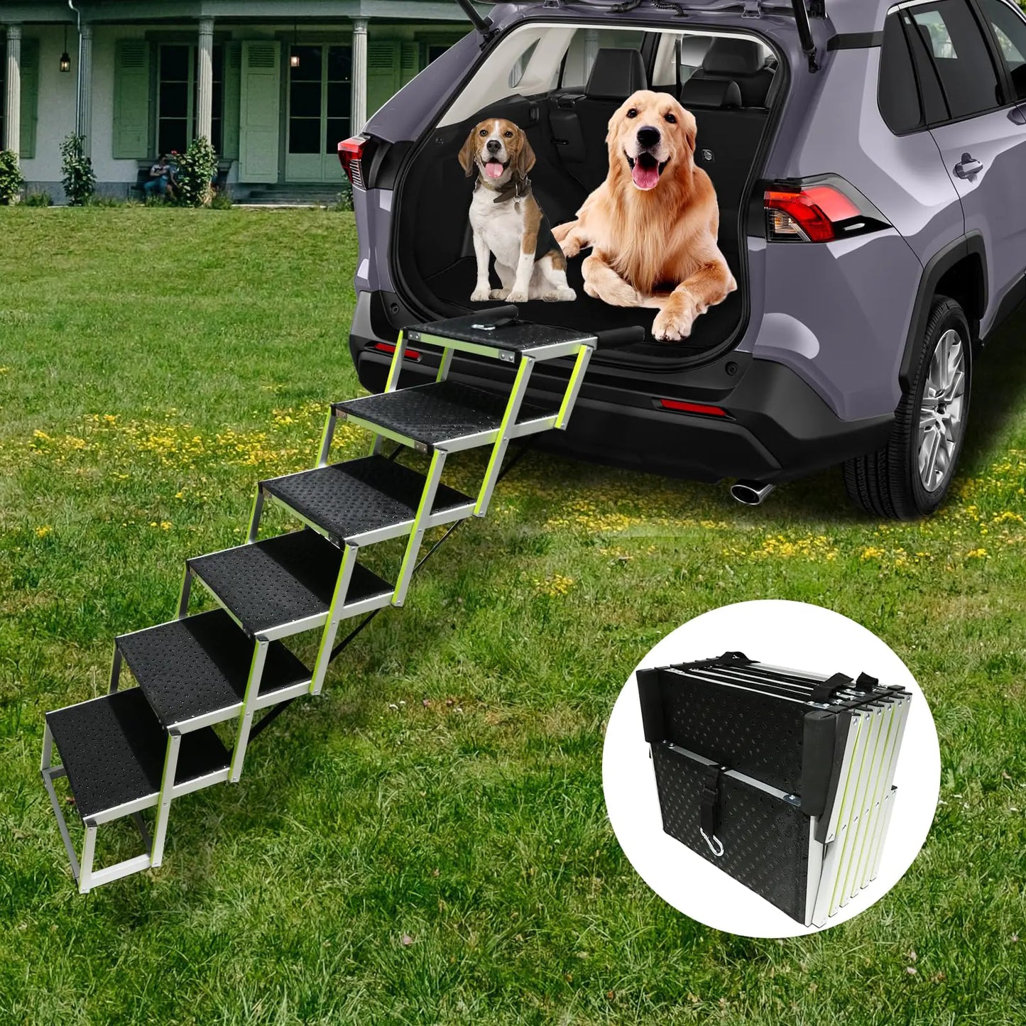 PENSUN Dog Ramps for Small & Big Dogs Portable Folding Pet Stairs with Nonslip Surface Foldable Truck Ramp Stairs for Car SUV and Trucks Supports Up to 250LBS 6 Steps (6 Steps)