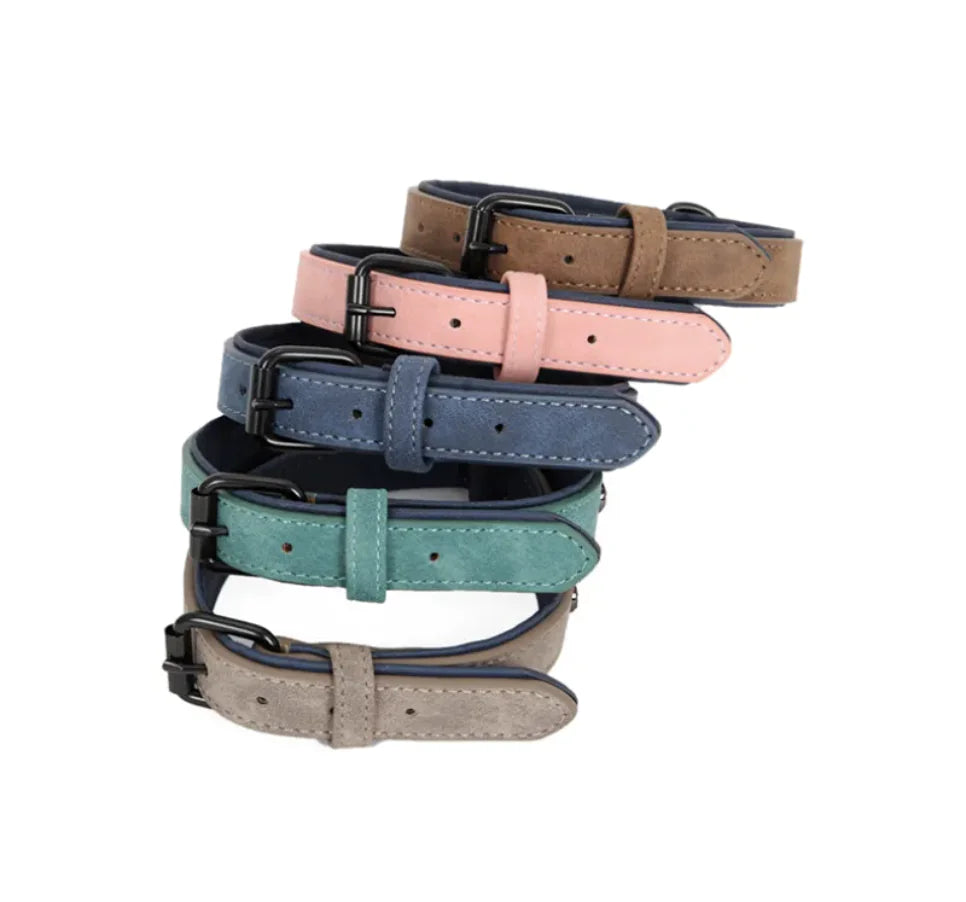 Hoopet Adjustable Dog Collar