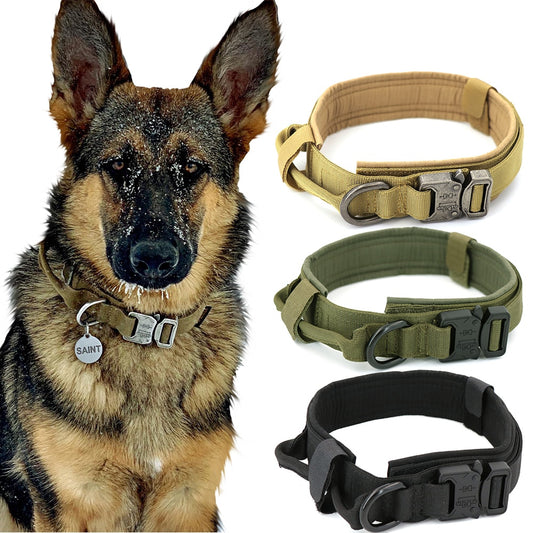 Tactical Dog Collar with D ring and handle