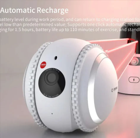 PetPal Interactive Robot – Your Cat's Ultimate Companion and Monitor