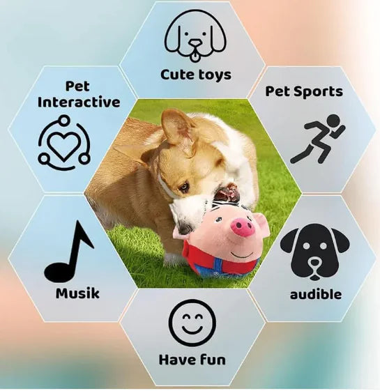 Interactive Squeaky Dog Toy