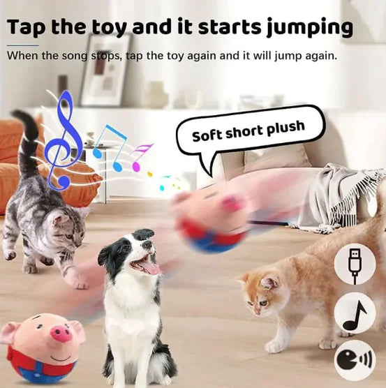 Interactive Squeaky Dog Toy