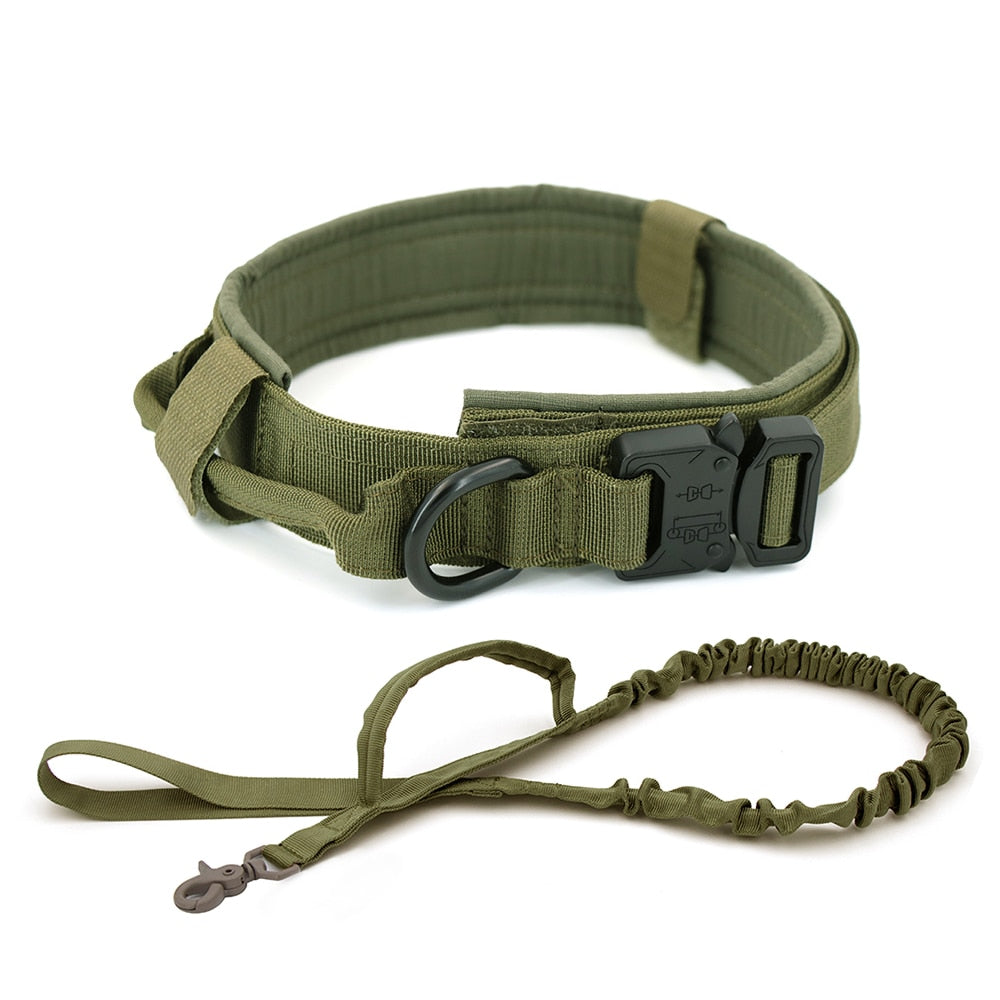 Tactical Dog Collar with D ring and handle